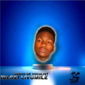 Benzo De Vocalist-Idlozi livumile