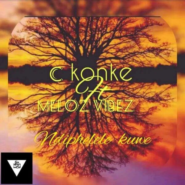 c konke ft Meloz Vibes Ndiphelele