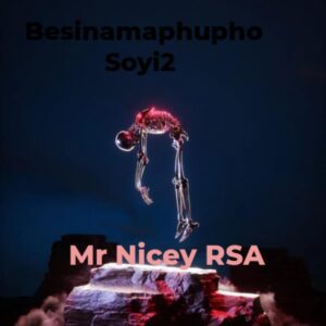 Mr Nicey Rsa - Besinamaphupho Soyi2