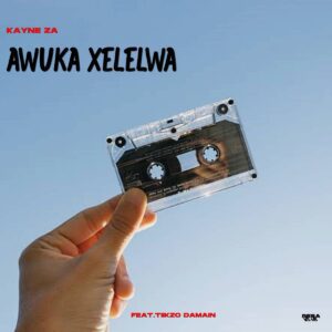 Kayne ZA - Awuka Xelelwa (feat. Tiikzo DaMain)